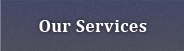 Our Servicesl