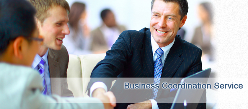 Business Coordination Service